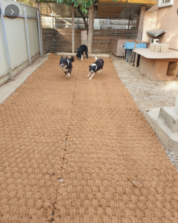 Eco-Friendly Coir Mats